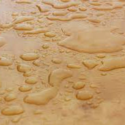 Is Marine Plywood Fully Waterproof? | Expert Guide from Plywood Etc