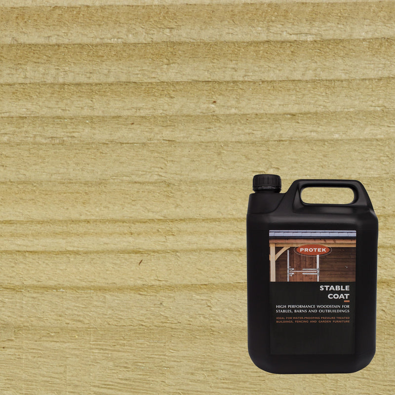 Protek Clear Stable Coat Paint