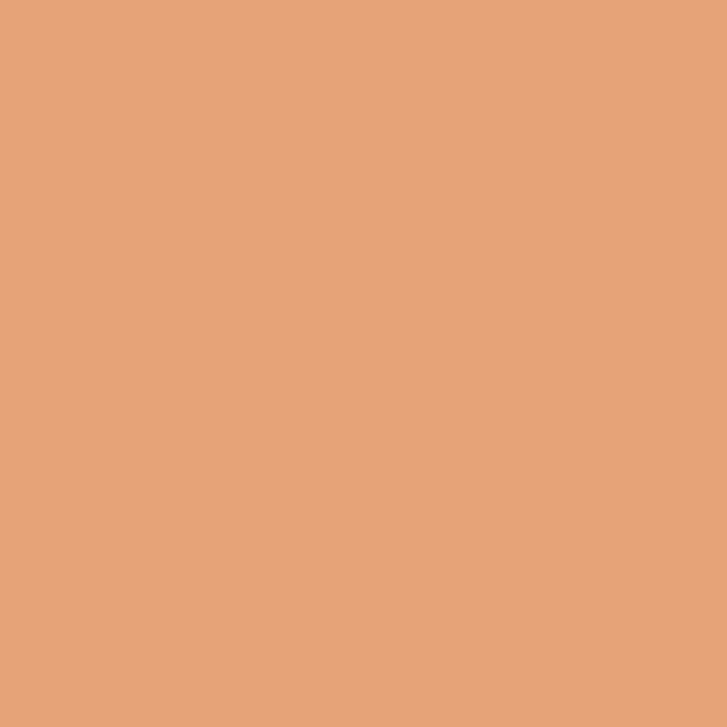 Biscuit - Wood Stain & Protect