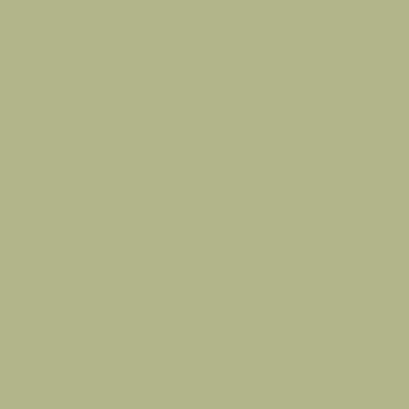 Pale Sage - Wood Stain & Protect