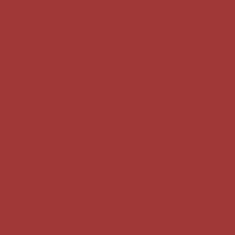 Carmine Red - Royal Exterior Paint