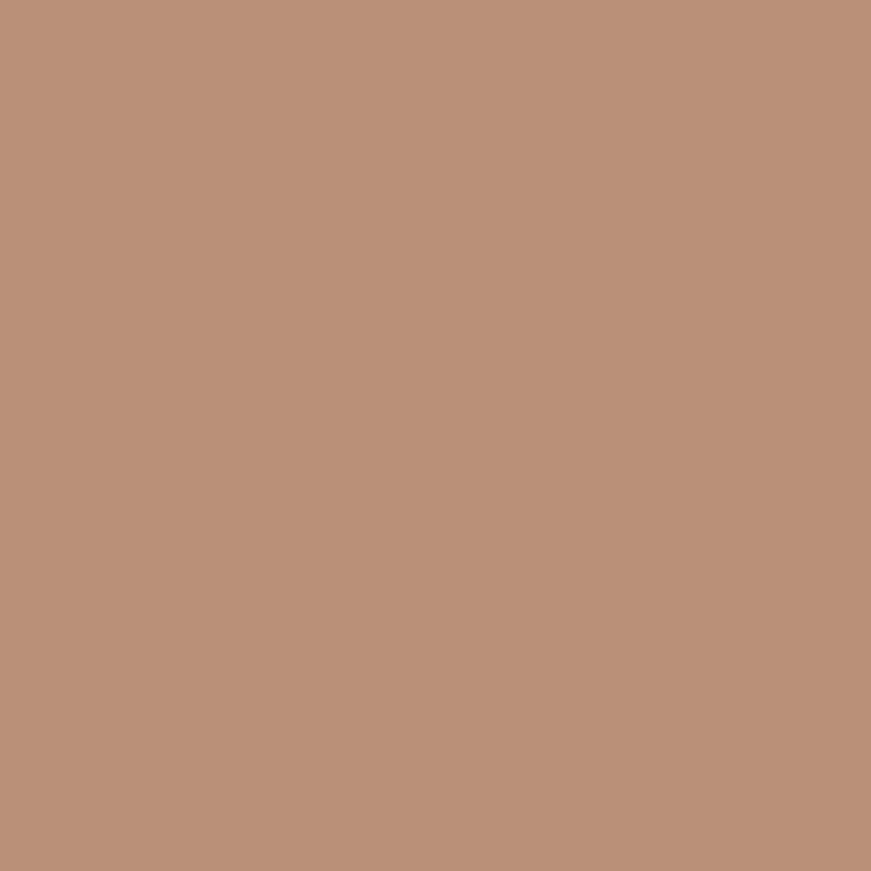 Faded Terracotta - Royal Interior Paint