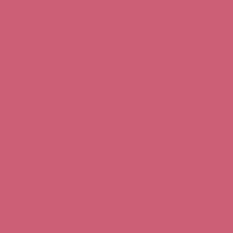 Fuchsia Pink - Royal Interior Paint