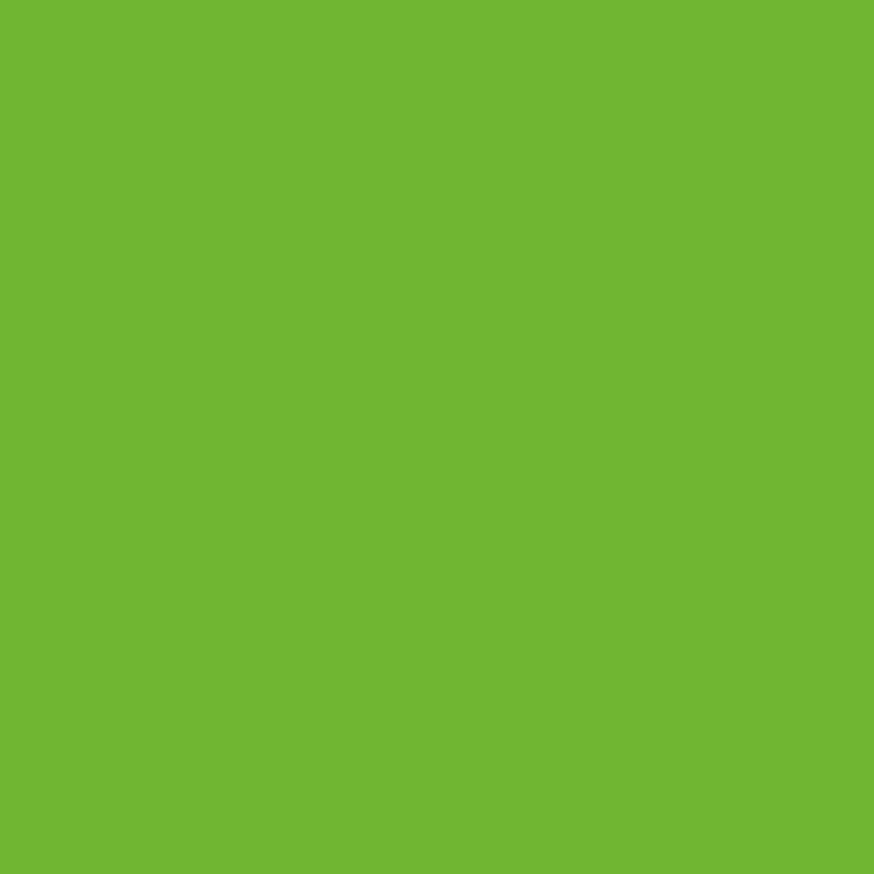 Lime Green - Royal Exterior Paint