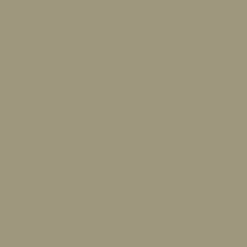 Mushroom - Royal Interior Paint
