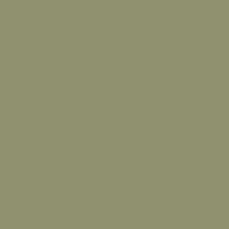 Olive Green - Royal Interior Paint