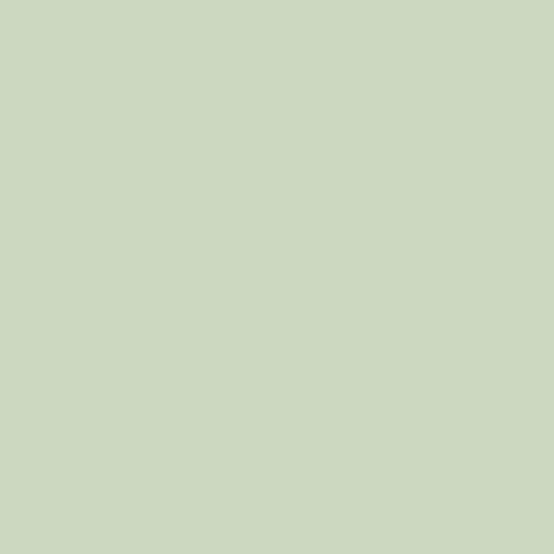 Pale Pistachio - Royal Exterior Paint