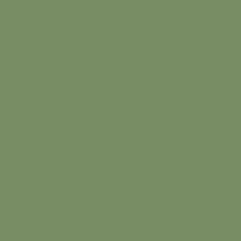 Sage Leaf - Royal Interior Paint