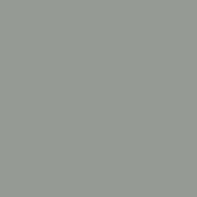 Smokey Grey - Royal Interior Paint