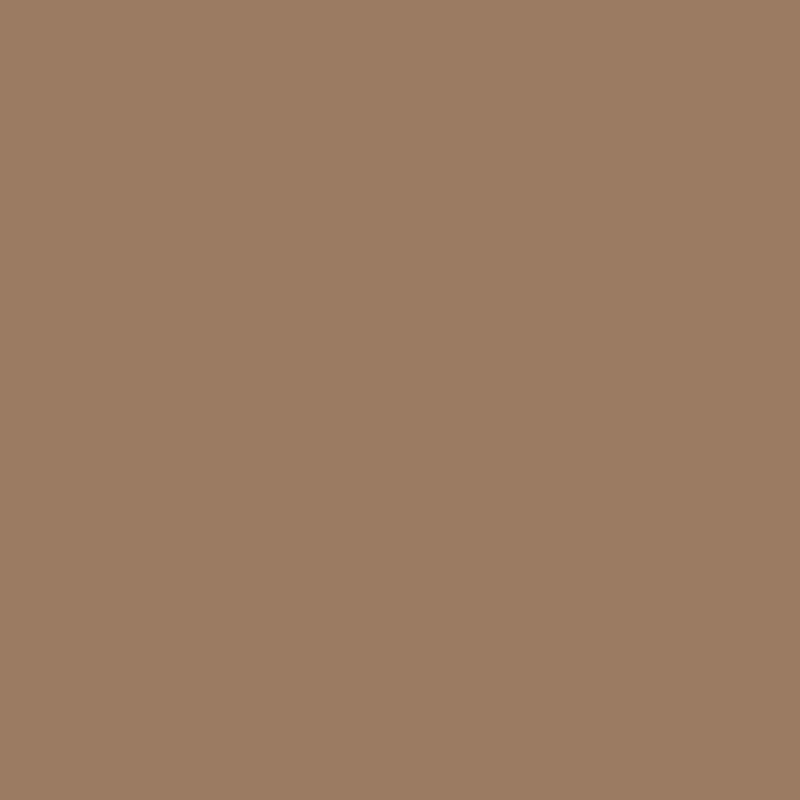 Soft Mocha - Royal Exterior Paint