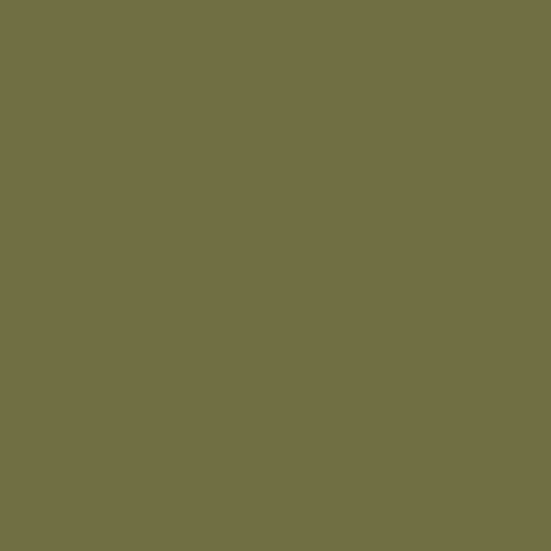 Verdant - Royal Exterior Paint