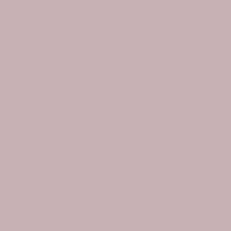 Winter Sky - Royal Interior Paint