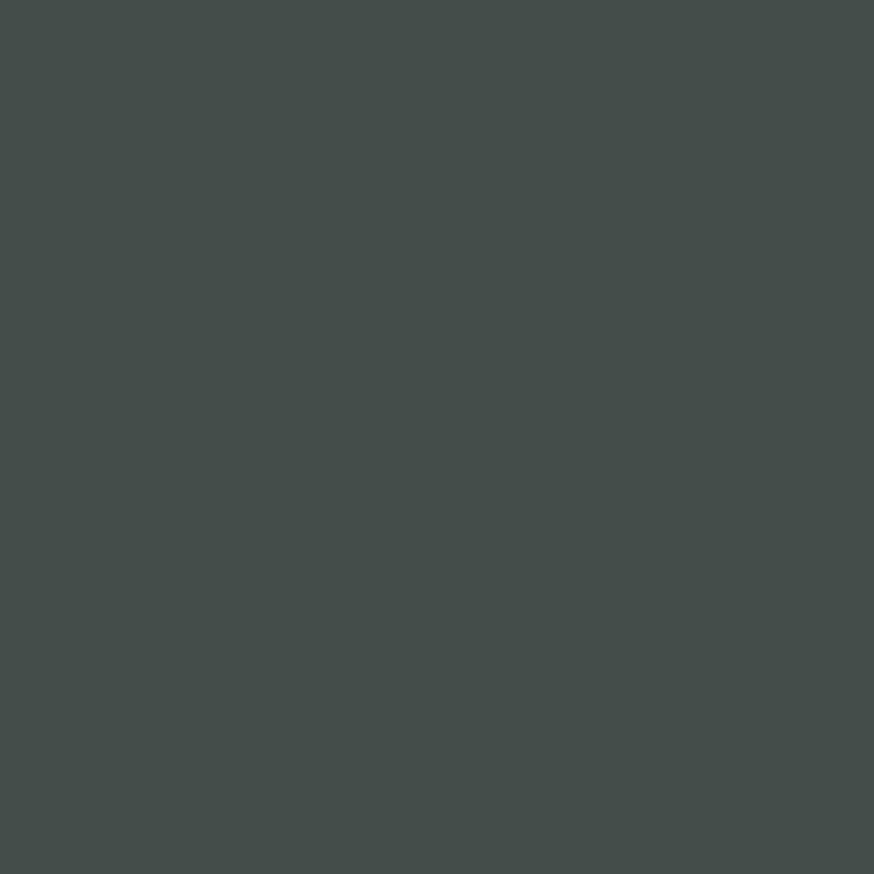 Wolf Grey - Royal Interior Paint