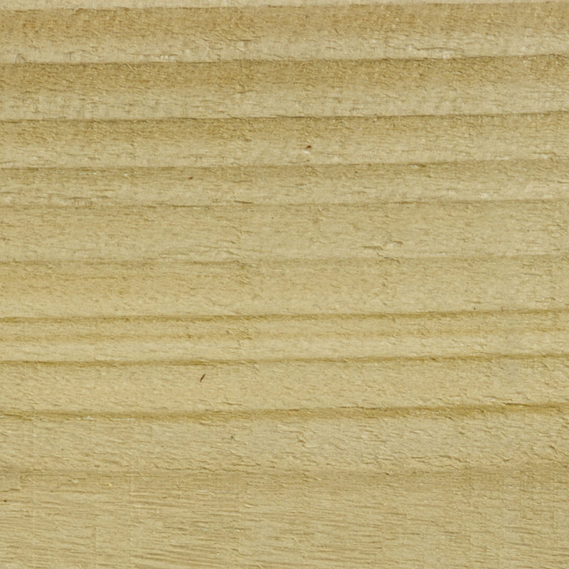 Protek Clear Stable Coat Paint