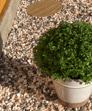 Carnival Pink Marble Gravel Chippings 20mm - 800kg Bulk Bag - Armstrong Cheshire