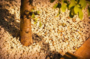Cotswold Stone Chippings  Bulk Bag 10 - 20mm - Armstrong Cheshire