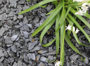 Dark Slate Chippings 20mm - 800kg Bulk Bag - Armstrong Cheshire