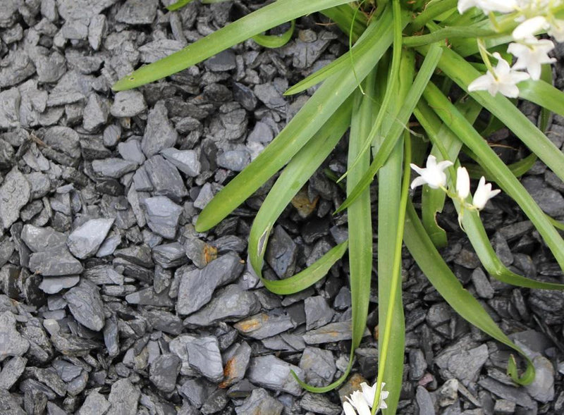 Dark Slate Chippings 20mm - 800kg Bulk Bag - Armstrong Cheshire
