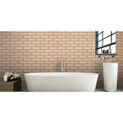 Ibstock Mixed Buff Rustic 65mm - Armstrong Cheshire