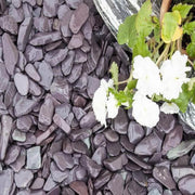 Midnight Blue Slate Chippings 40mm 25/50 20kg Bags - Armstrong Cheshire