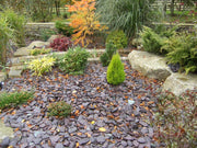 Plum Welsh Paddlestones - Bulk Bag 800kg - Armstrong Cheshire