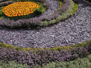 Plum Welsh Slate Chippings 40mm - 800kg Bulk Bags - Armstrong Cheshire