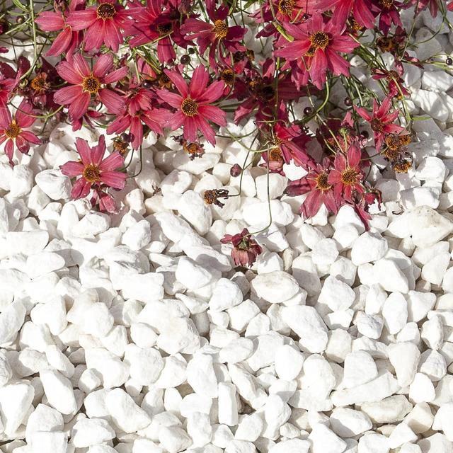Polar White Spanish Marble Gravel 20mm - 800kg Bulk Bag - Armstrong Cheshire