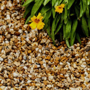 Sunshine Blend Gravel 6-10mm - Armstrong Cheshire